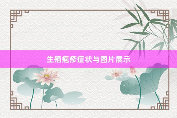 生殖疱疹症状与图片展示