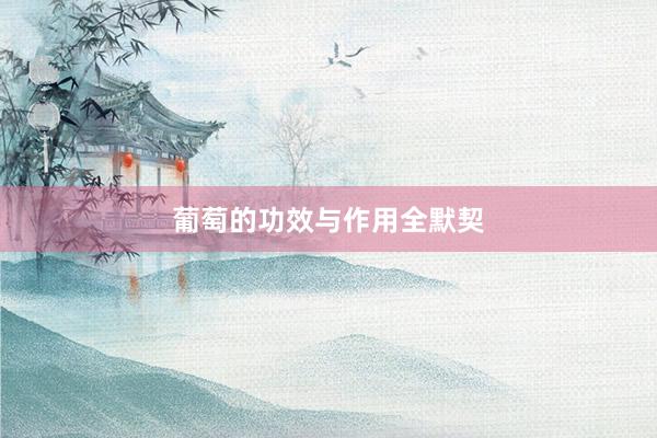 葡萄的功效与作用全默契